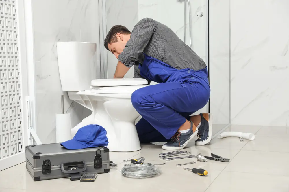 Toilet Installation in Hatton